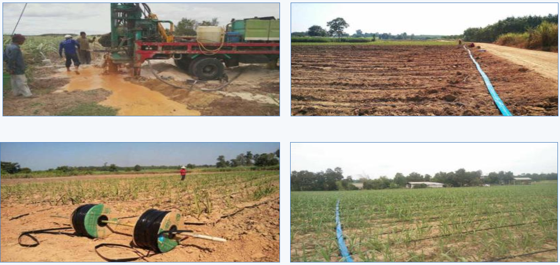 Plantation de canne à sucre projet d’irrigation goutte à goutte en Thaïlande