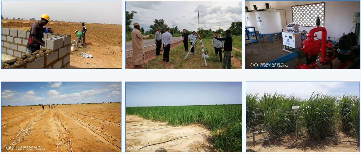Projet d’irrigation intégrée de l’eau et des engrais à la canne à sucre au Nigeria