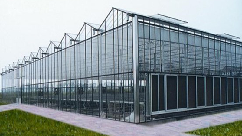 Système de symbiose des poissons et des légumes (projet de démonstration)— installation Agriculture